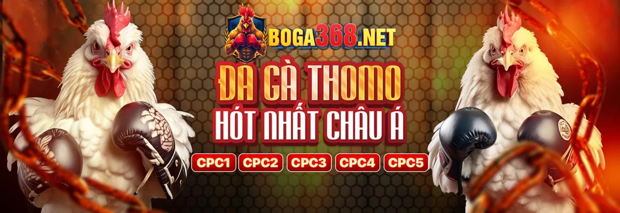 Hình ảnh chính hướng dẫn cá cược thể thao open88 nhà cái