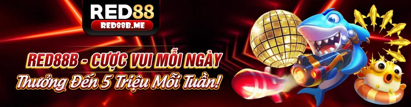 Tin tức mới nhất từ open88 nhà cái